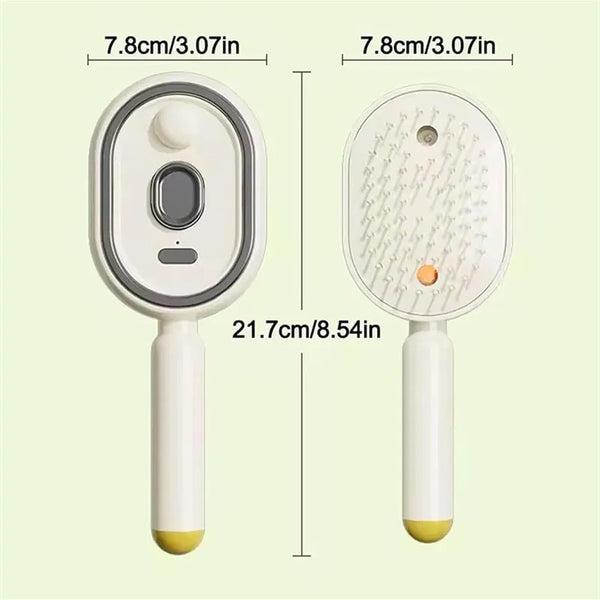 Brosse Magique à Vapeur et Massage